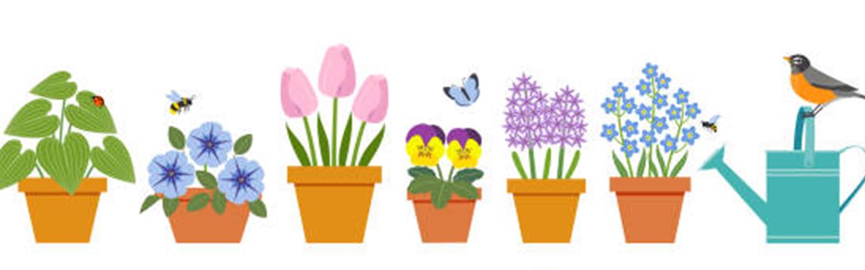 Little Garden Creations - School Holidays